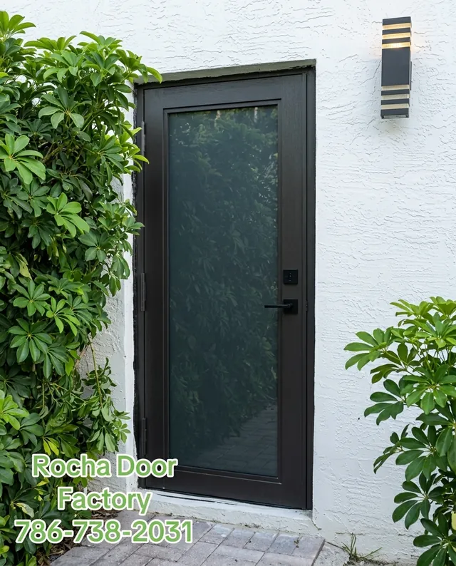 Dark bronze full-glass impact entry door
